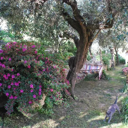 Venkovský dům Casa Anna A In Toscana Con Piscina Pietrasanta