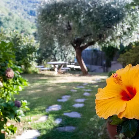 컨트리하우스 Casa Anna A In Toscana Con Piscina 피에트라산타