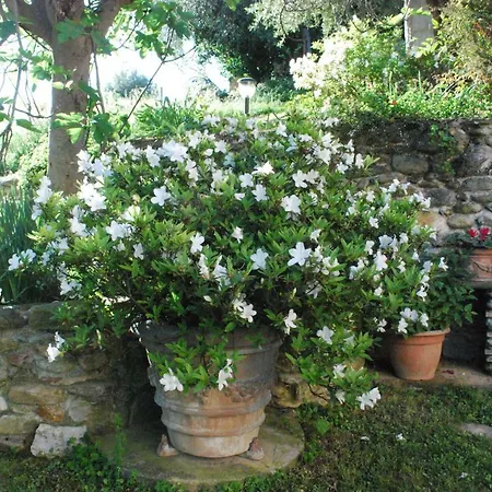 Casa Anna A In Toscana Con Piscina